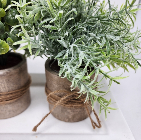 New Faux Succulents Mini Potted Plants Set/3 Faux Frosted Plants in Planters - Picture 9 of 9